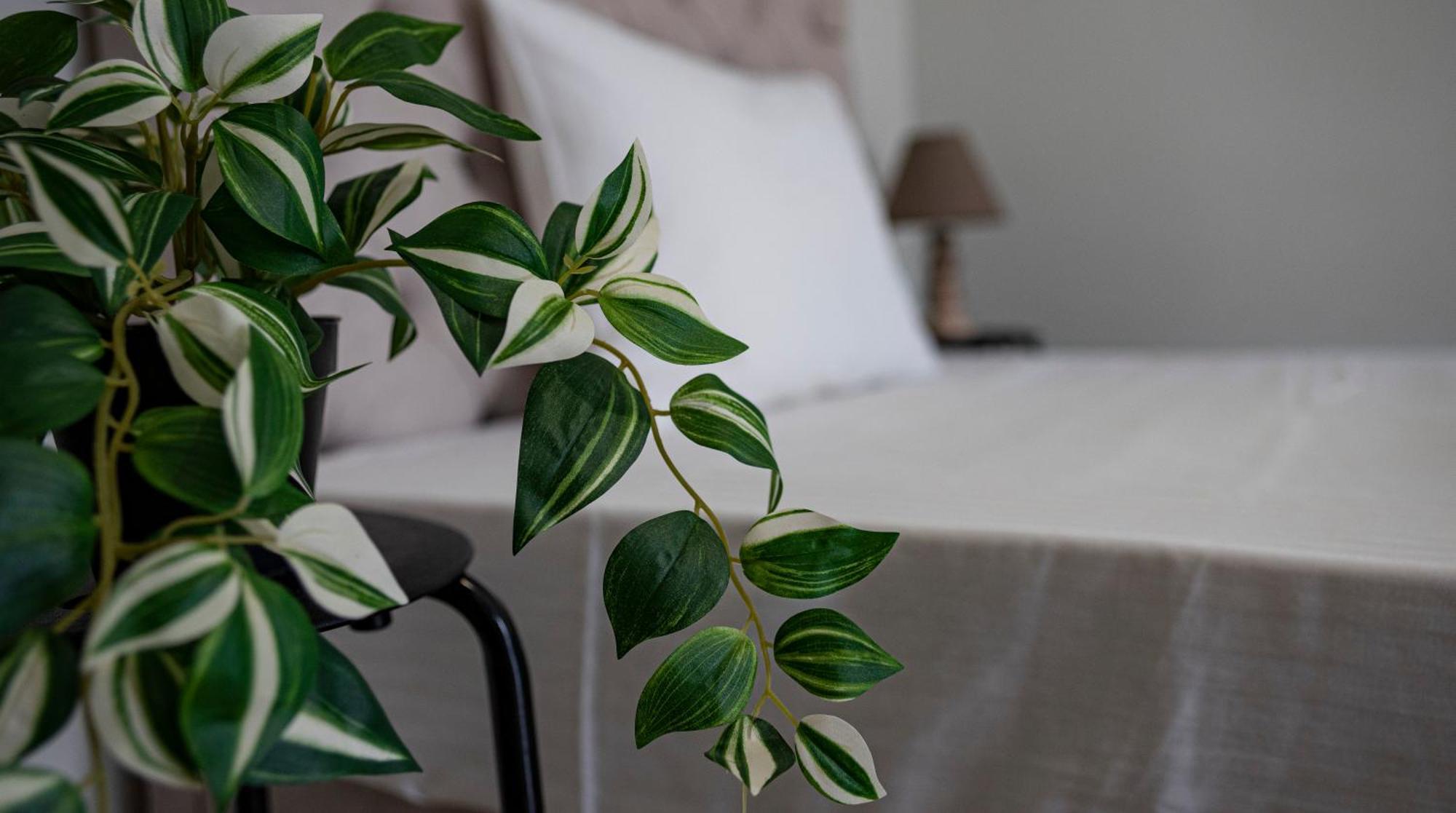 Nikitas Apartments & Suites Kanali  Luaran gambar